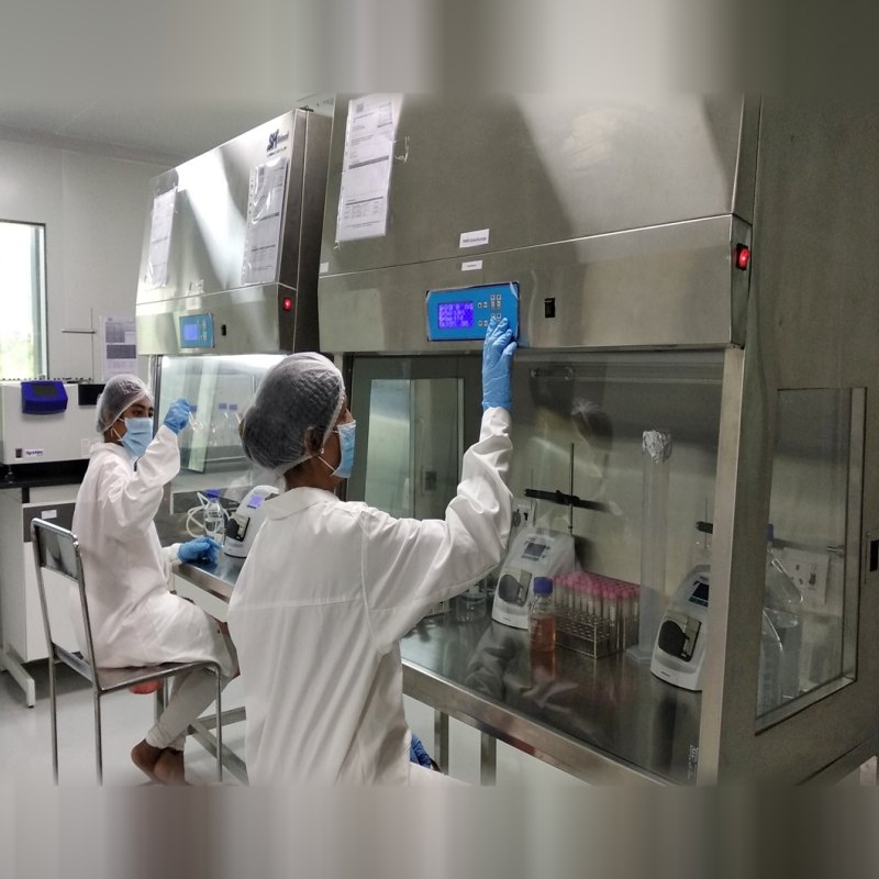 Researchers working at biosafety cabinets in the clean room