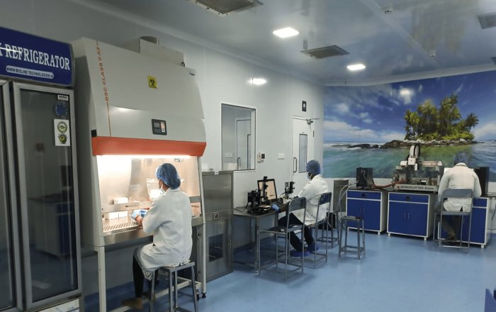 Researchers at a 3D bioplotter in the Bio Valley clean room